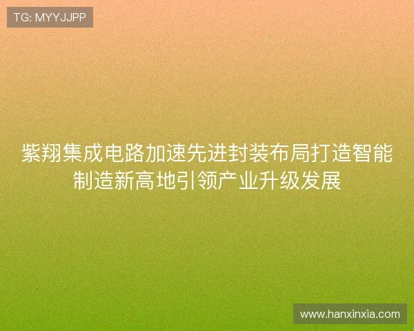 紫翔集成电路加速先进封装布局打造智能制造新高地引领产业升级发展 紫翔集成电路加速先进封装布局打造智能制造新高地引领产业升级发展